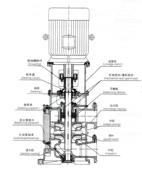 大東海泵業立式多級泵結構圖