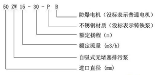 大東海泵業(yè)zw泵型號(hào)意義