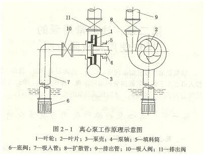 大東海泵業離心泵工作示意圖