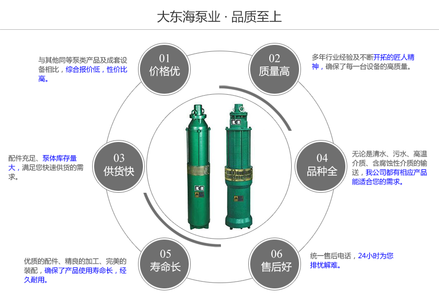 大東海泵業(yè)深井潛水泵質量保證圖