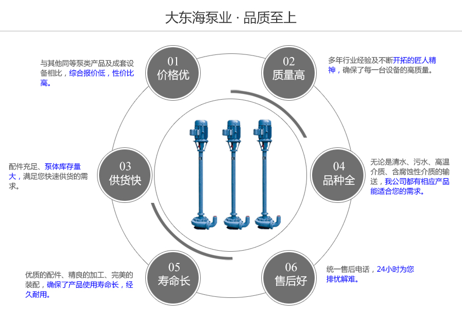 大東海泵業(yè)污水泥漿泵質量保證圖