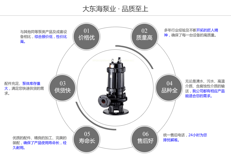 大東海泵業(yè)潛水污水泵質量保證圖