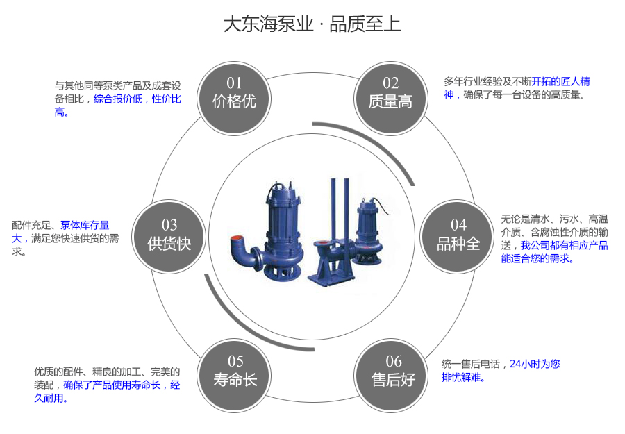 大東海泵業工程污水泵質量保證圖