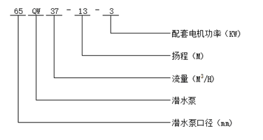 大東海泵業QW型潛水泵型號意義